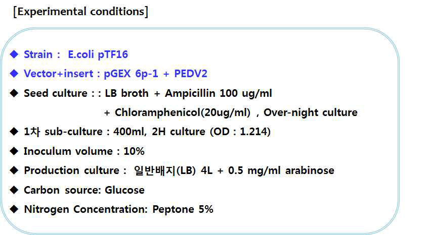 PEDV2 단백질 대량 생산을 위한 배양 조건