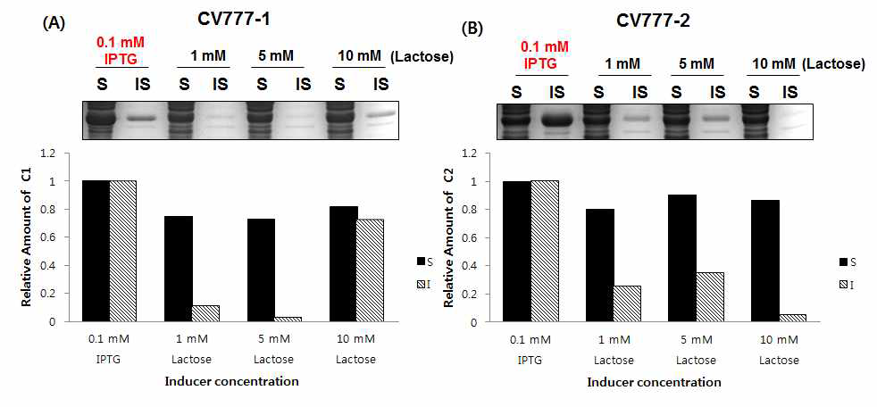 Inducer 별 CV777-1 (A)과 CV777-2 (B) 발현 효율. 0.1 mM IPTG에서 두가지 형태의 단백질 발현양을 기준으로 비교