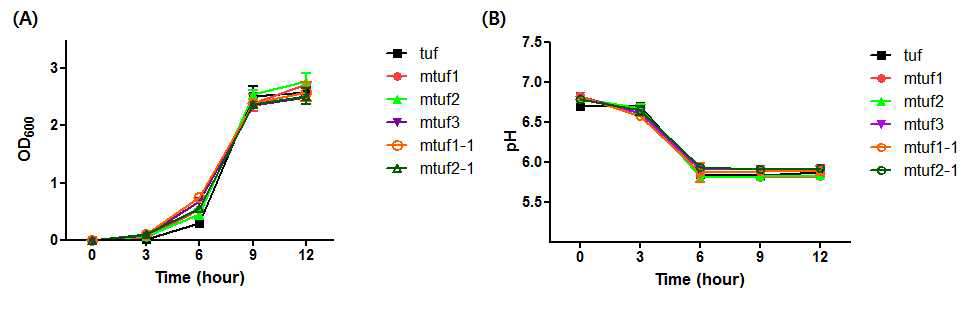 tuf 프로모터와 modified tuf 프로모터를 가진 유산균의 physiological characteristics 확인