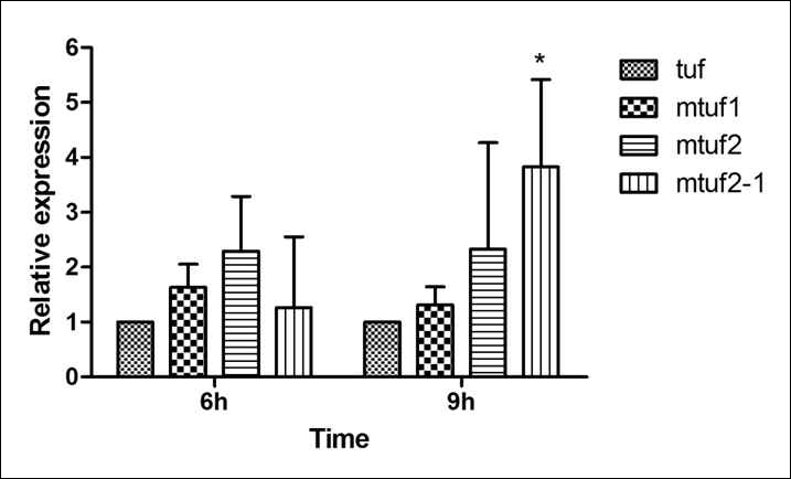 Modified tuf 프로모터 그룹의 qRT-PCR 결과