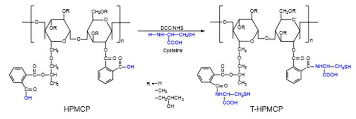 T-HPMCP 합성 모식도