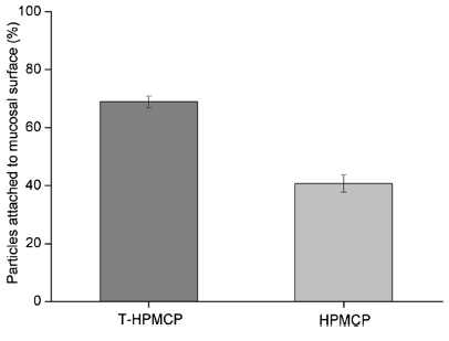 Thiolated HPMCP의 점막점착성 비교실험