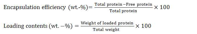 고분자 미립자의 단백질 담지효율 지표 계산식