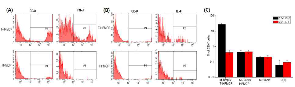 CD4+IFN-γ+ T세포에 대한 Flow cytometry 분석 결과 (A), CD4+IL-4+ T세포에 대한 Flow cytometry 분석 결과 (B), IFN-γ 및 IL-4 분비 CD4+ 세포의 비교 분석 (C)