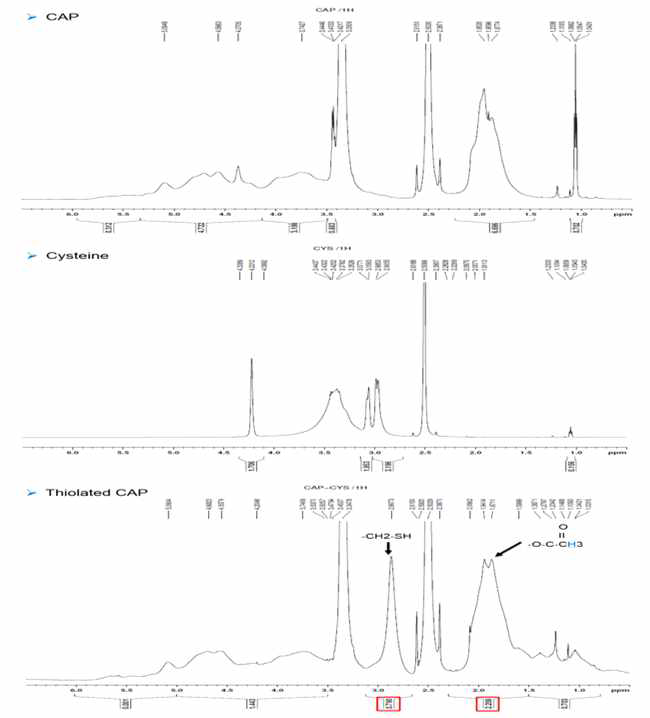 H1 NMR 측정을 통한 티올기 도입 확인