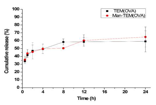 pH7.4에서TEM (OVA), Man-TEM (OVA)에 담지 된 OVA단백질의 방출효과 검증