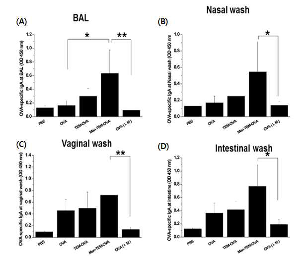 점막에서의 OVA 특이적 sIgA 측정 결과 * P <0.1, ** P<0.05 유의성