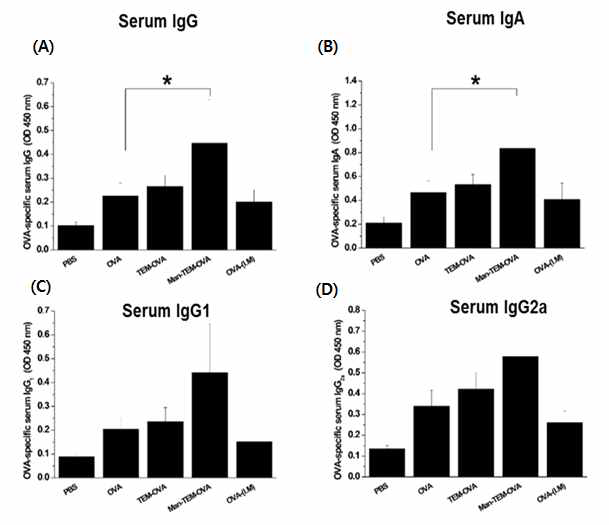 혈쳥 OVA 특이적 IgG, IgG1, IgG2a와 IgA 측정 결과 * P <0.1, ** P<0.05 유의성