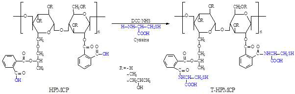 HPMCP화학구조와 티올기 도입 모식도