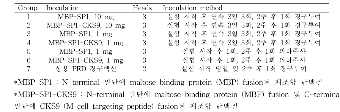 1차 in vivo 자돈 PED immunization 실험군