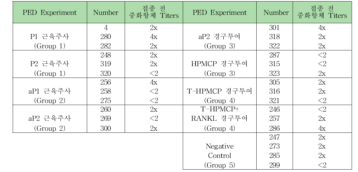 접종 전 P-5V 중화항체 titer