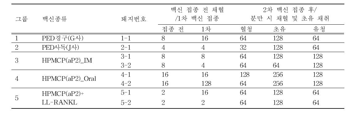 백신 접종 및 채혈․초유에서 백신항체