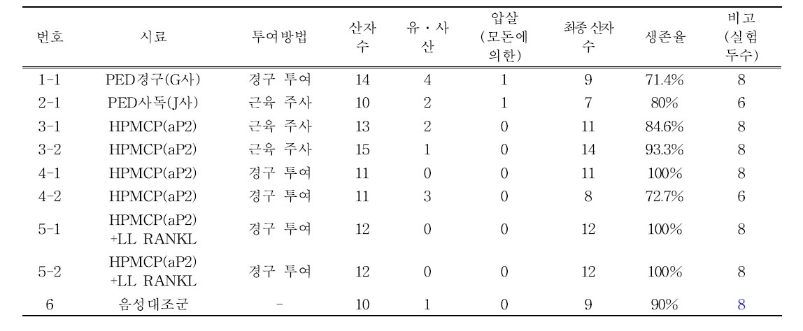 임신모돈 백신투여 후 분만시 살아 있는 생존율