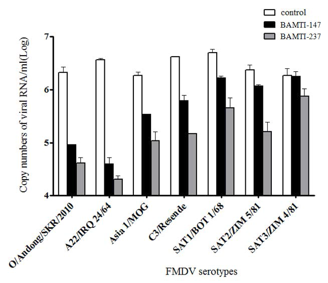 50 μM 의 BAMTI-147과 BAMTI-237의 구제역 7가지 혈청형에서의 효과 비교