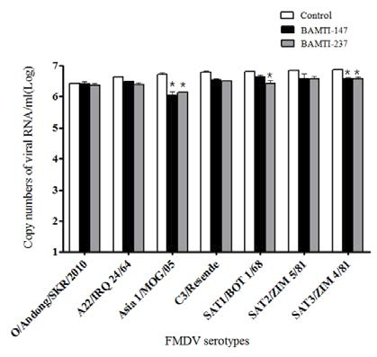 100 μM BAMTI-147과 BAMTI-237 의 구제역 7가지 혈청형에서의 예방적 효과 비교