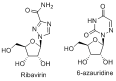 Ribavirin과 6-azauridine의 화학구조