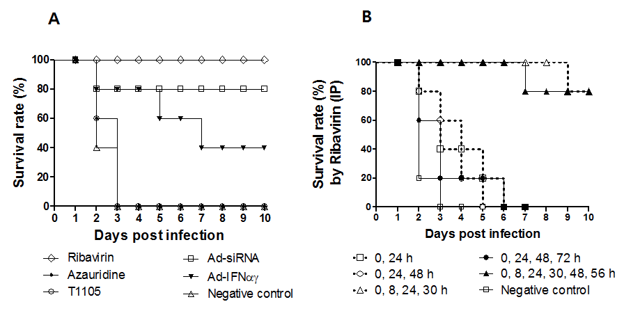 알려진 항바이러스제의 구제역 억제효과 비교 실험 결과 (A) 및 ribavirin의 투여 횟수 별 생존율 비교 실험 결과