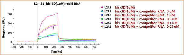 competitor RNA에 의한 Binding inhibition