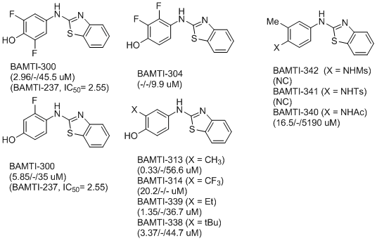 BAMTI 화합물의 A section 구조 변화에 따른 유도체와 효소억제활성