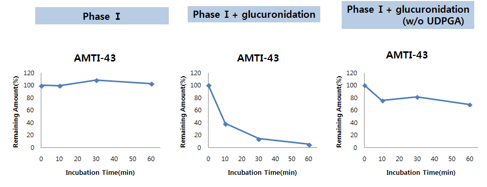 AMTI-43 화합물의 Phase I/glucuronidation metabolism assay 결과