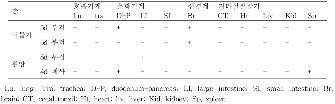 실험적으로 감염된 비둘기와 원앙의 장기별 고병원성 인플루엔자 바이러스 감염여부.