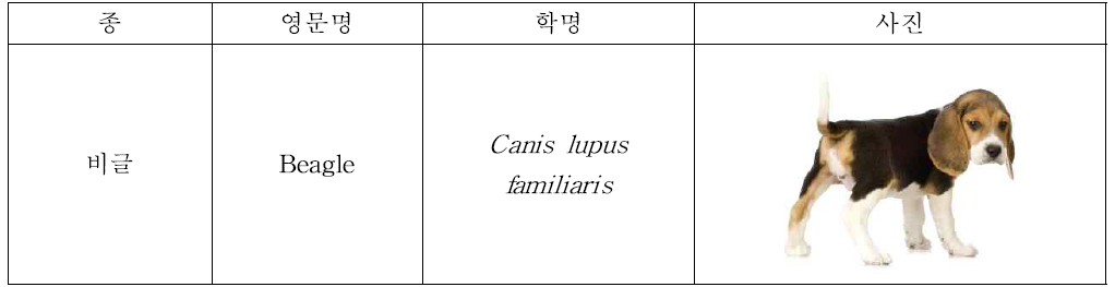 병원성 및 증식성 분석에 사용된 개.