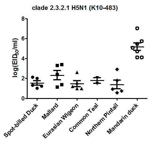 Clade 2.3.2.1 H5N1 바이러스 감염 야생조류 4종 및 텃새 1종의 최대 바이러스 배출양.
