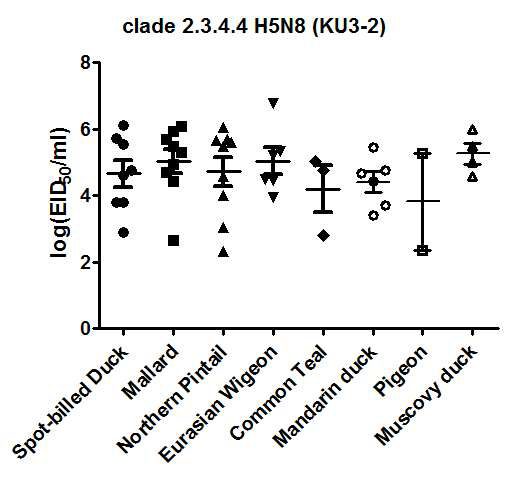2015년도 신규 분리 clade 2.3.4.4 H5N8 바이러스 감염 야생조류 5종, 텃새 2종 및 가금류 1종의 최대 바이러스 배출양.