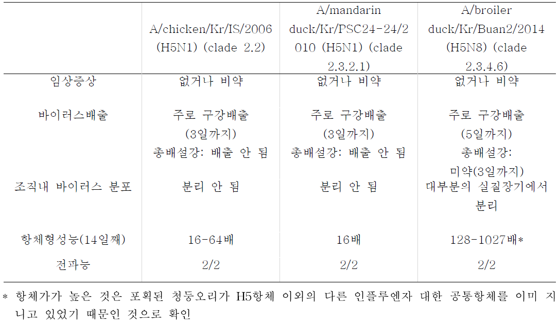 청둥오리에서의 바이러스 종류에 따른 병원성 분석