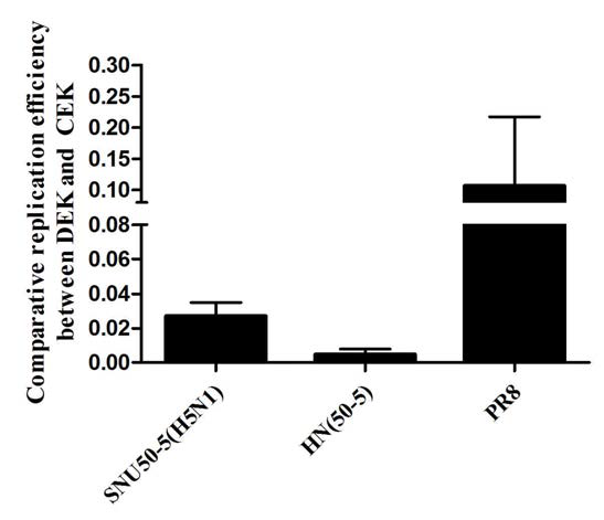 HA/NA 재조합 바이러스의 CEK 대비 DEK 증식성 비교.