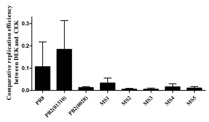 PB2 돌연변이 재조합 바이러스의 DEK/CEK 상대증식성 비교.