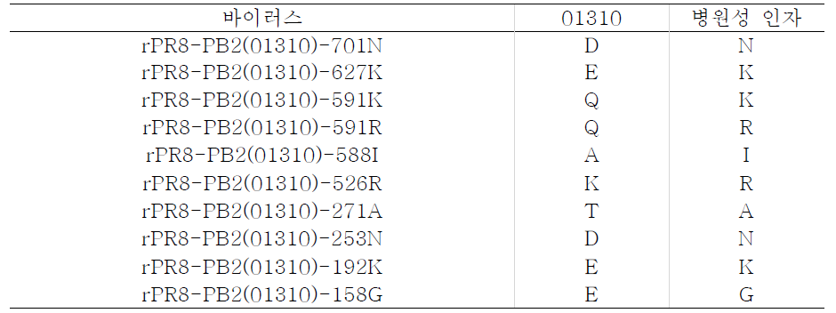 포유류 병원성 인자를 가지는 PB2 돌연변이 재조합 바이러스 제작.