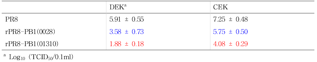 PB1 유전자 재조합 PR8 바이러스의 CEK, DEK 증식성 비교.