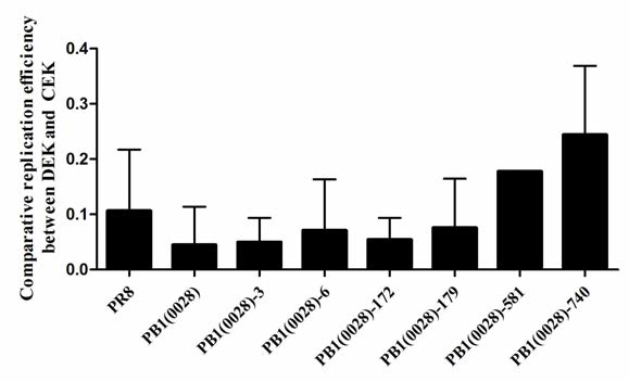PB1 돌연변이 재조합 바이러스의 DEK/CEK 상대증식성 비교