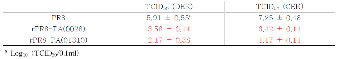 PA 유전자 재조합 PR8 바이러스의 CEK, DEK 증식성 비교.