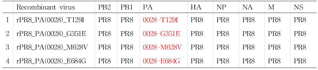 PA 유전자 돌연변이 재조합 바이러스 제작.