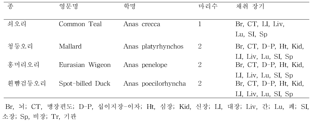 대상동물과 채취 장기.