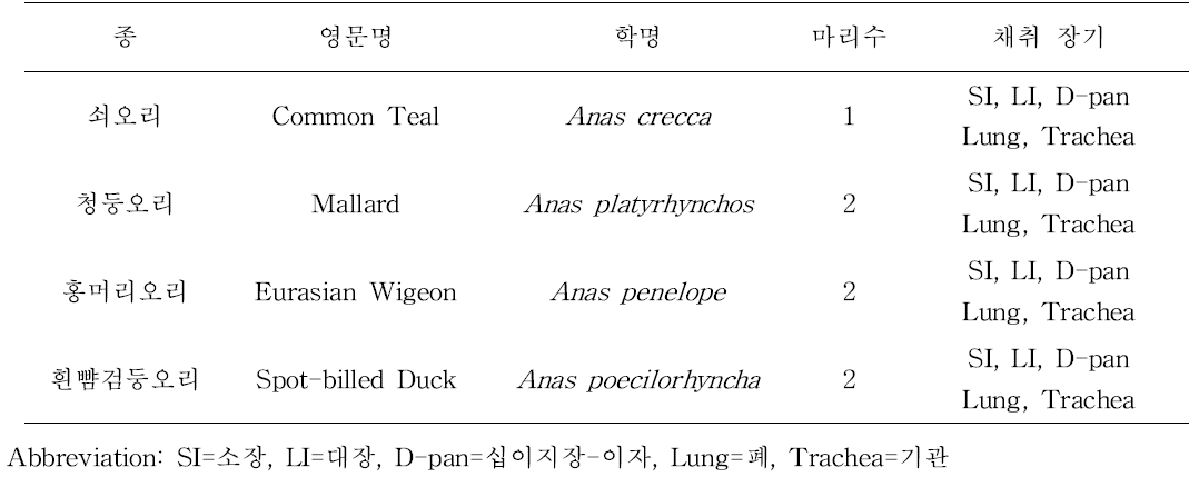 대상동물과 채취 장기