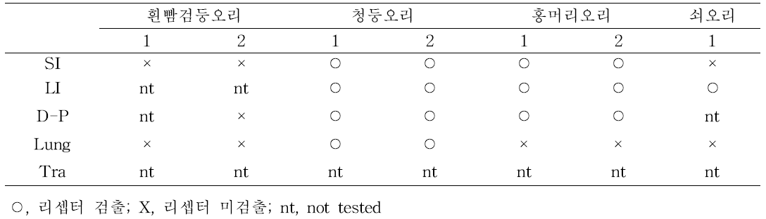 기존 실험 결과 중 DAB를 이용한 조류인플루엔자 바이러스 수용체 발현 여부