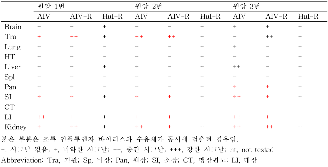 원앙의 장기별 조류인플루엔자 (AIV) 검출 및 조류인플루엔자 수용체 (AIV-R), 사람인플루엔자 수용체 (HuI-R) 발현 분석 결과