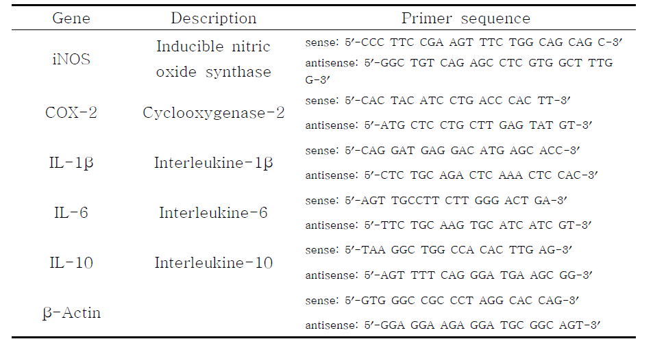 염증 관련 유전자들의 Primer sequences