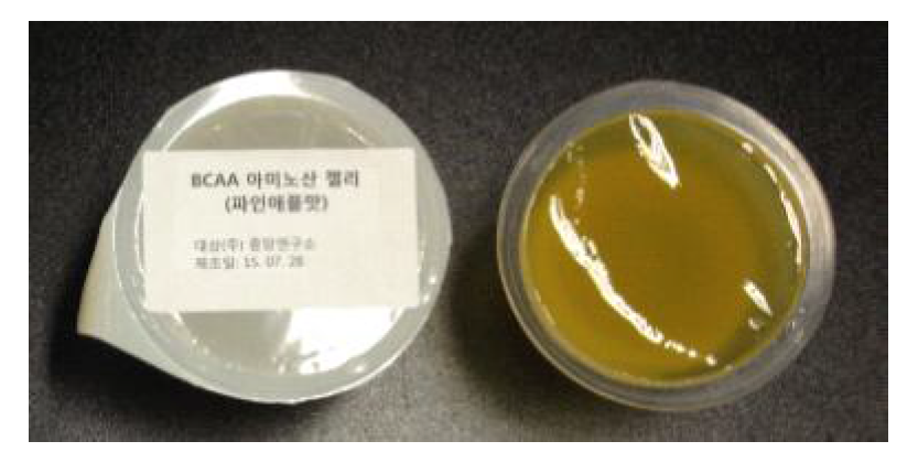 BCAA 영양푸딩 Proto-type 제품.