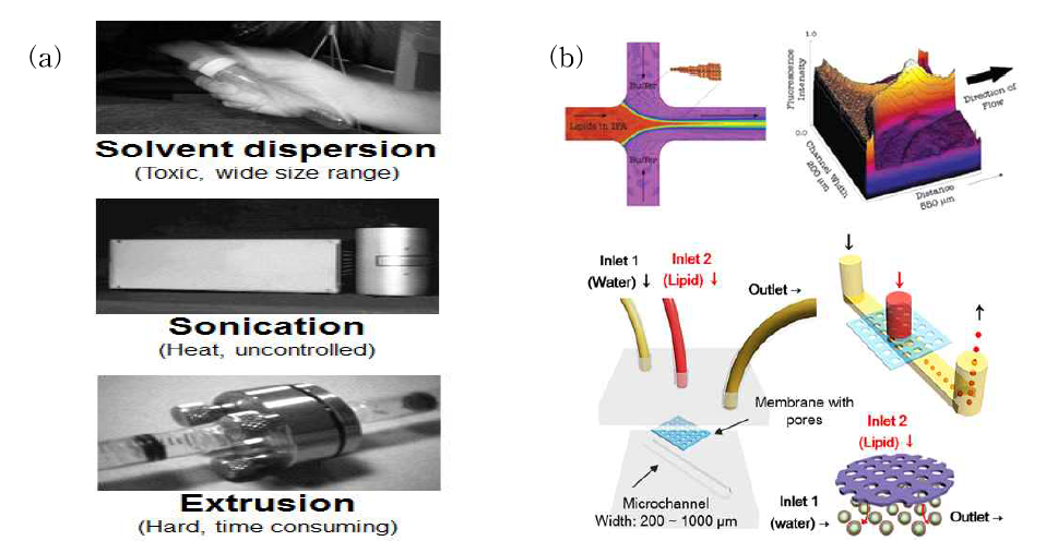 일반 적인 리포좀 제조 기술(a) 및 hydrodynamic focusing 기법을 이용한 microfluidic chip 기반 리포좀 제조 기술 모식도(b).