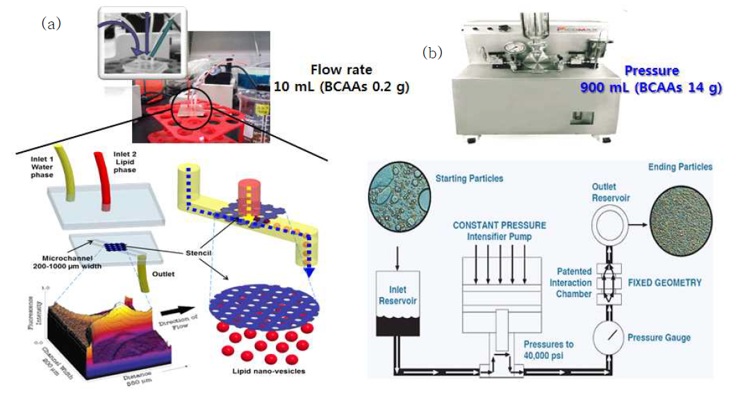Microfluidic chip 기반(a) 및 microfluidic homogenization 기반(b) 리포좀 제 조 기술 모식도.