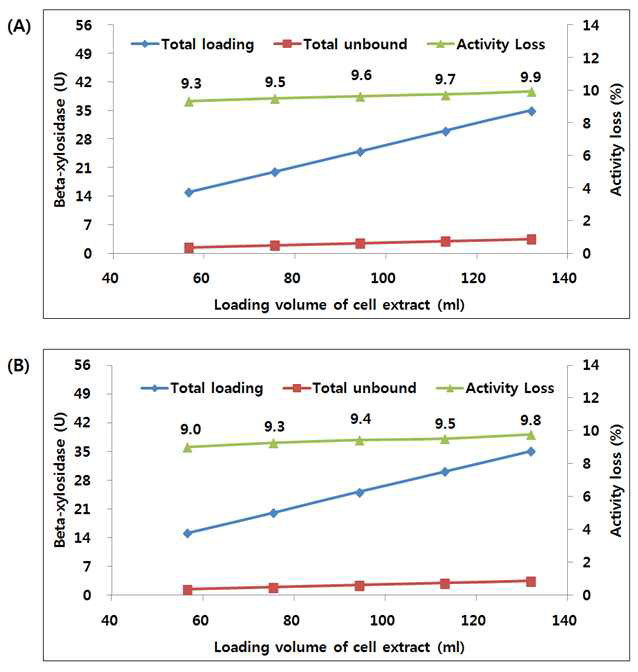 Loading capacity test of β-xylosidase, 1st test(A) and 2nd test(B).