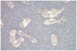 Xylobiose crystal.