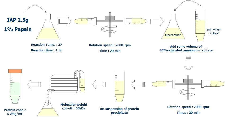 Rat-sucrase preparation method.