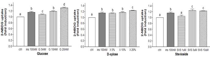 Effect of Glucose, D-xylose, and stevioside on glucose uptake in C2C12 skeletal muscle cell