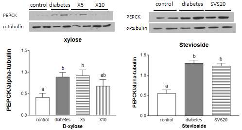 The relative PEPCK expression in liver