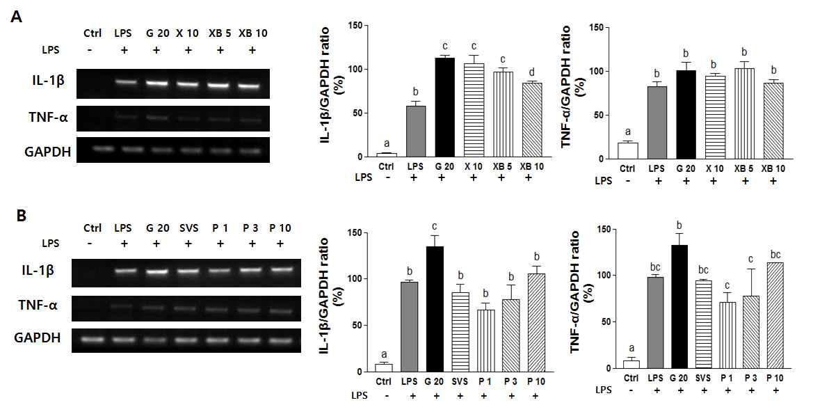 Effect of xylobiose and phyllodulcin on pro-inflammatory cytokine in Raw cell 264.7